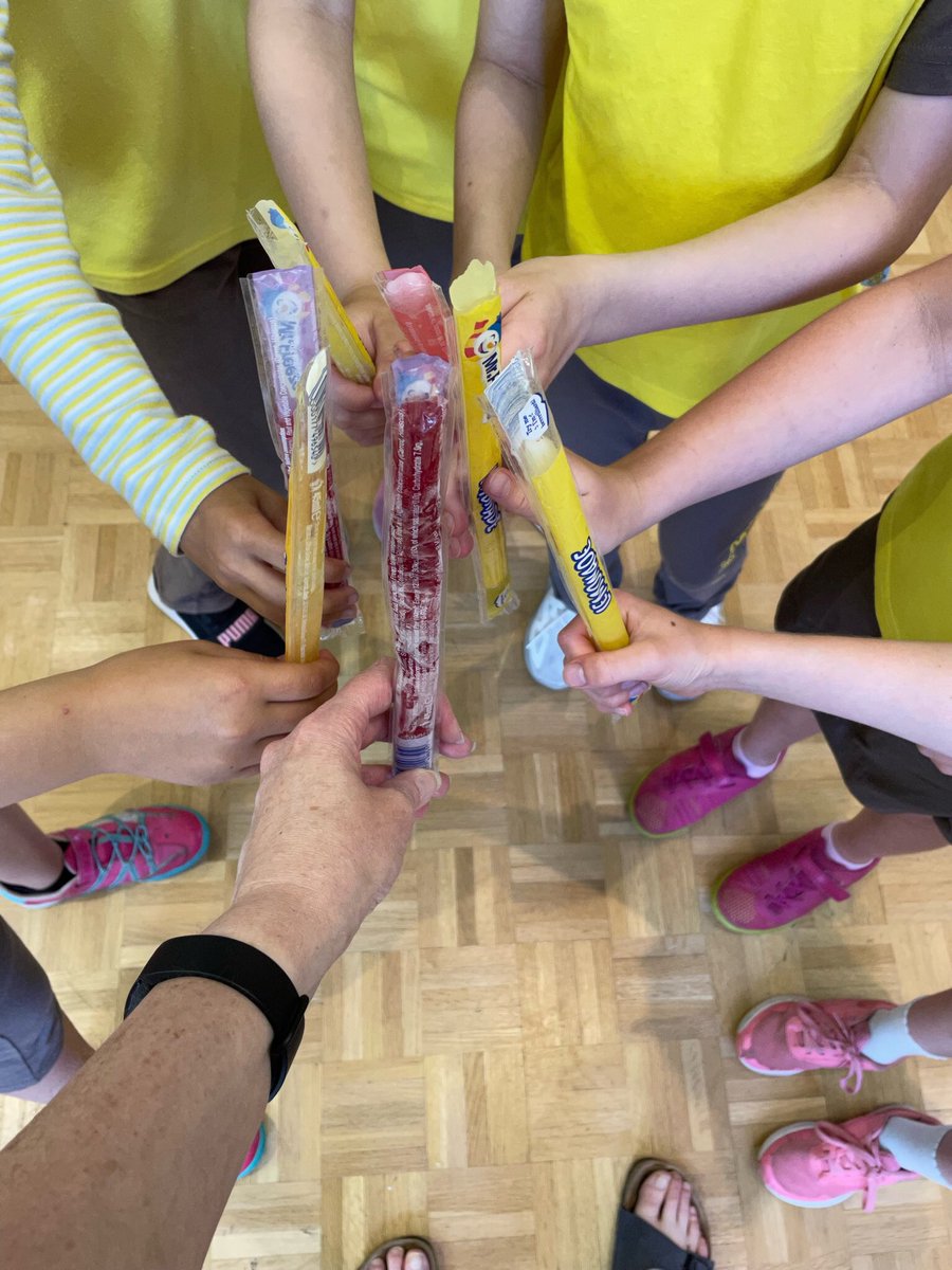 1st Rawcliffe Brownies tweet media