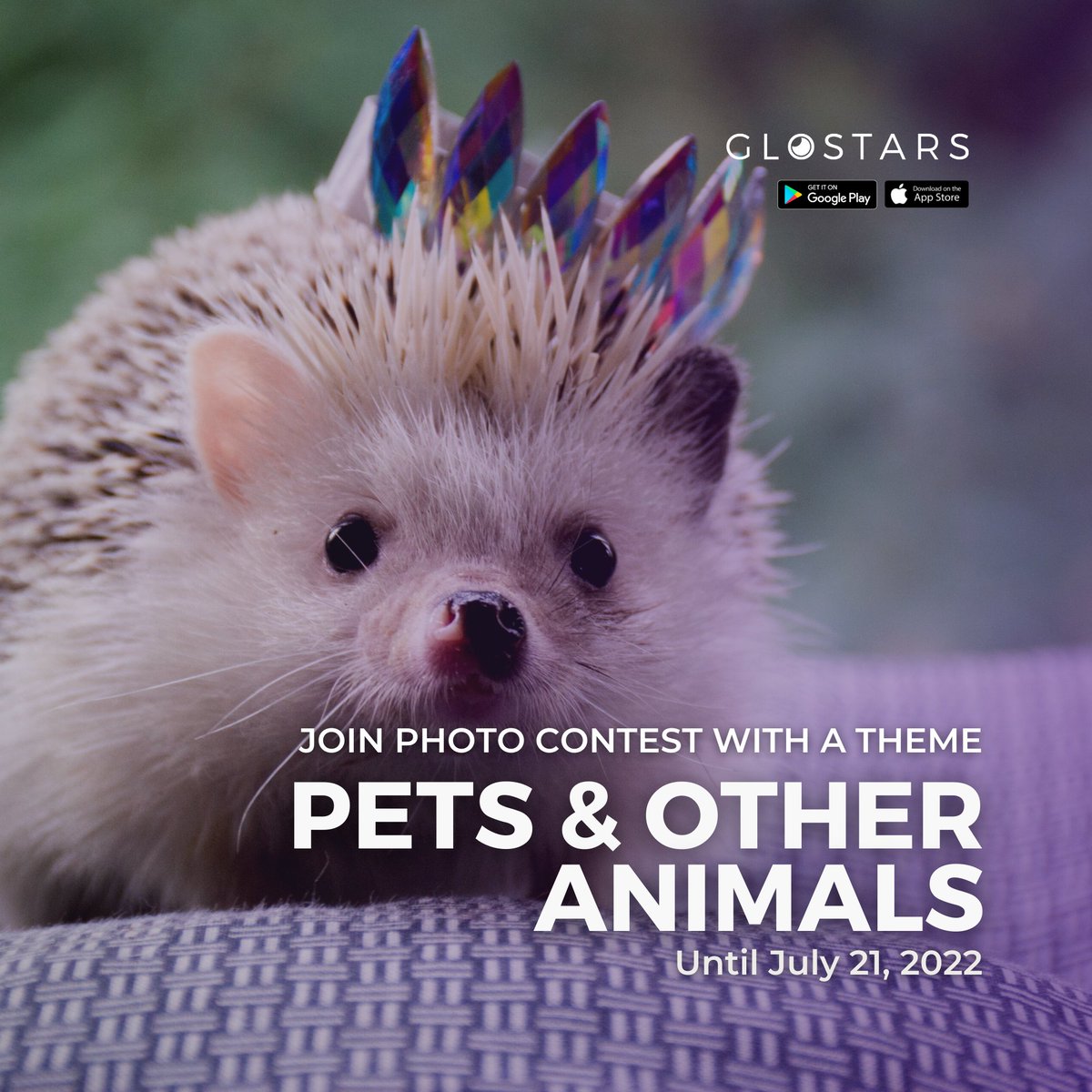 Probably the cutest #photography contest is here. #Pets and other #animals are this week on #glostars 🙂 Join our community to share your favorite photos and explore more for inspiration. Also get some prizes and special awards!

glostars.com