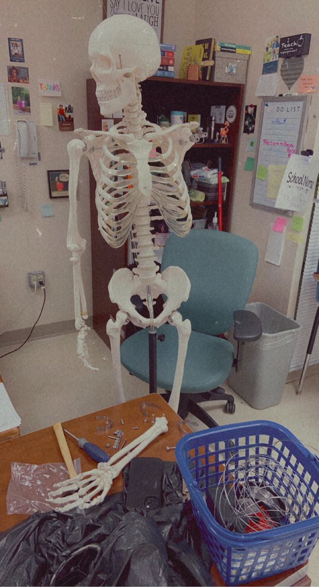 cwolfie2017's tweet photo. DCHS Wolfepack🐺 Skully💀has waited patiently for surgical 🪡 intervention- and we FINALLY found a willing soul to help us out! Stay tuned for post surgical &amp; rehab updates  🦴☠️ 🦴💀 #brokenbody #fixme #wolfesanatomyrocks   @hosa_dchs @WCDE_CTE @WCDE_TN @jboswell60 https://t.co/Ne1MNCDMDe
