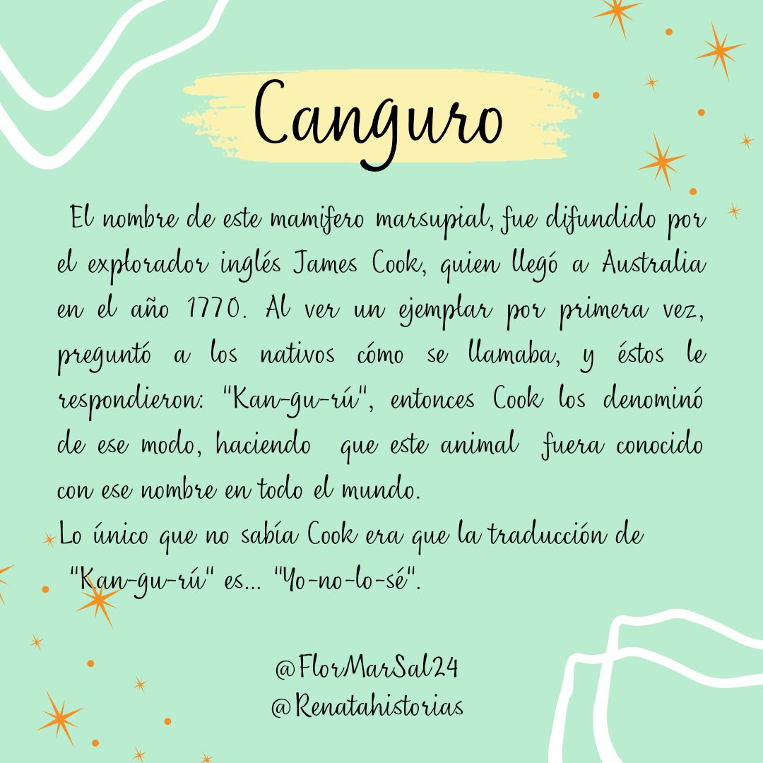 FlorMarSal's tweet photo. Curioso origen de palabras comunes. 
CANGURO. 

#Curiosidades #palabra #canguro #jamescook #cook #Australia #marsupial #origen https://t.co/hZeBG5WOXu