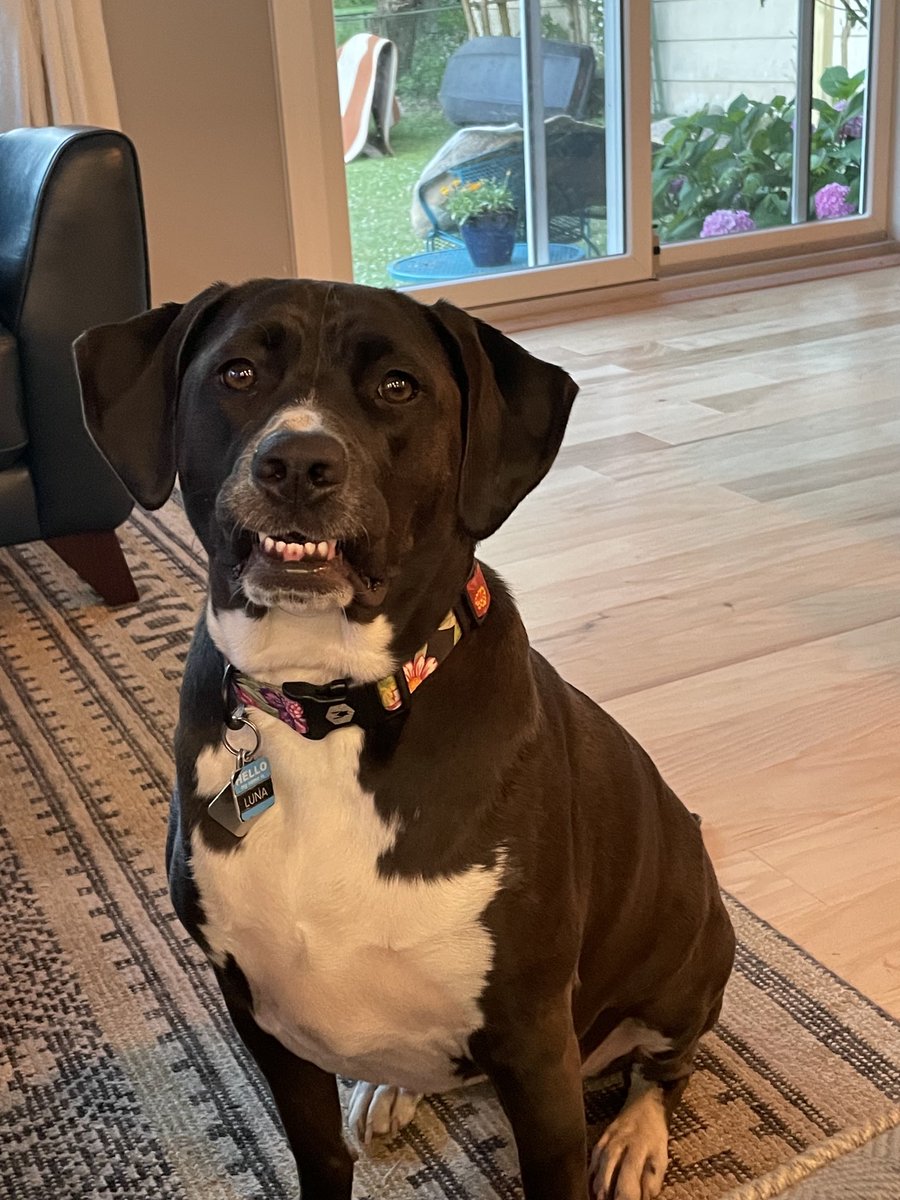 David Kinkela tweet media