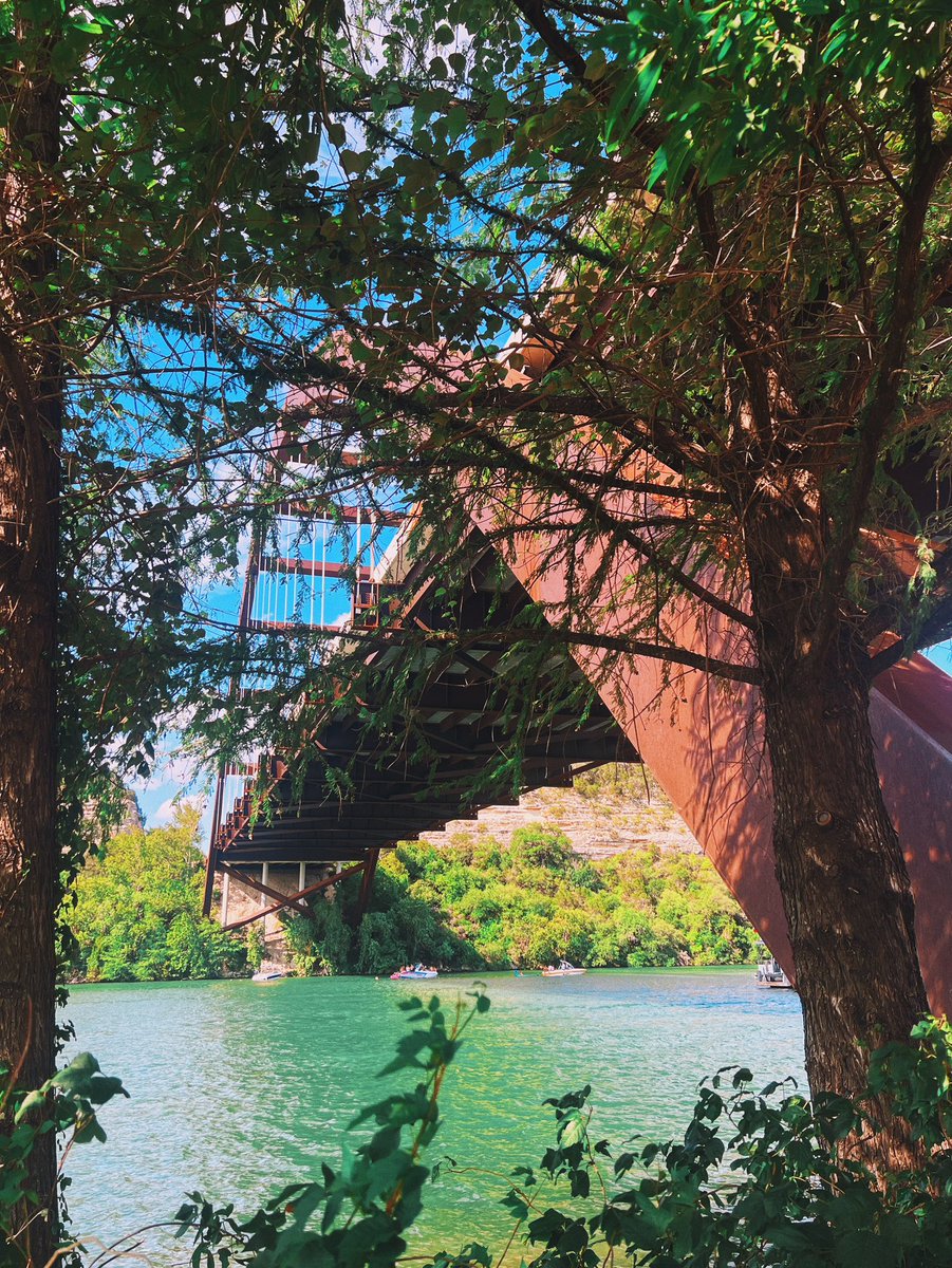 ᴅᴀᴠɪᴅ ᴍᴀʟᴀᴠᴇ tweet media