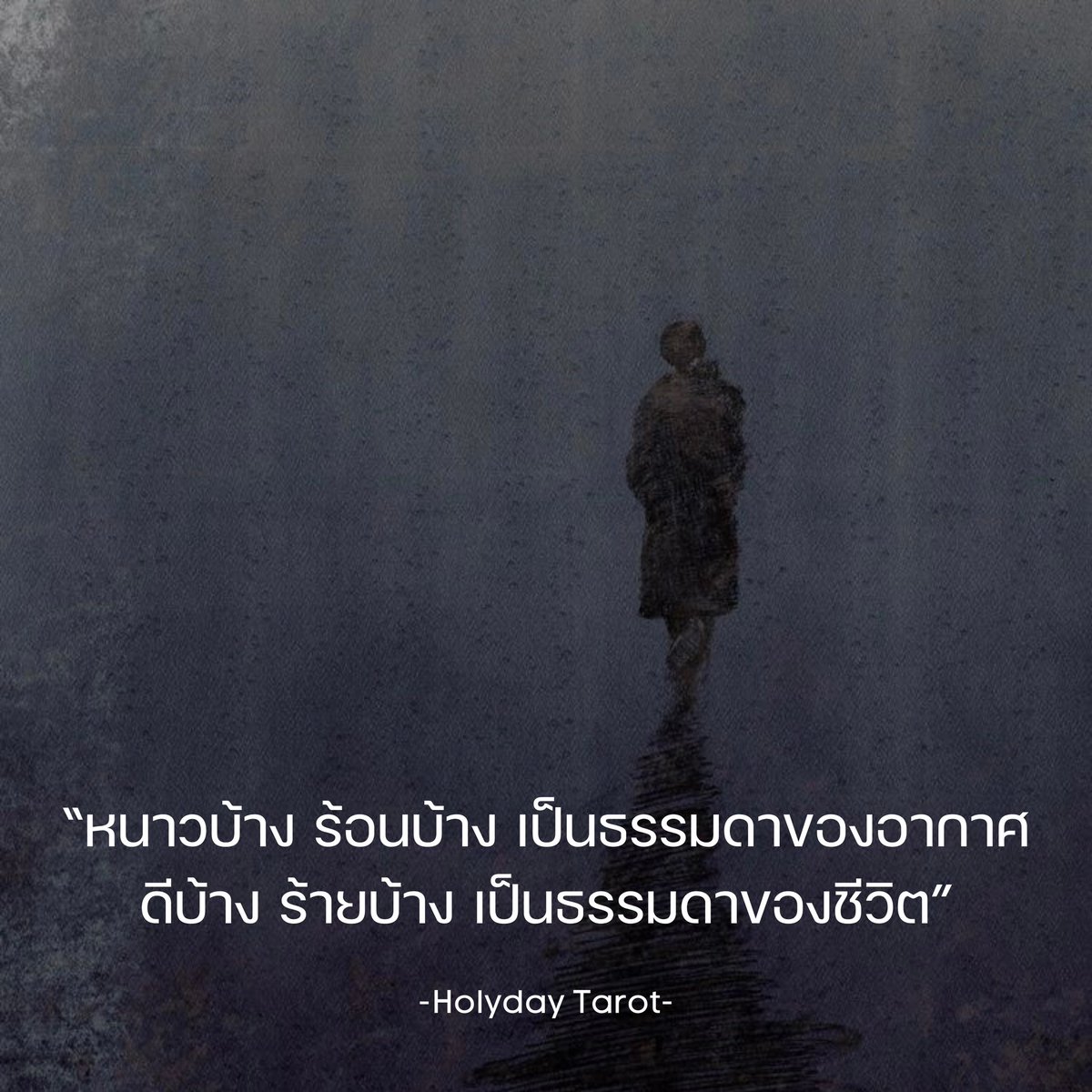 Holyday Tarot tweet media
