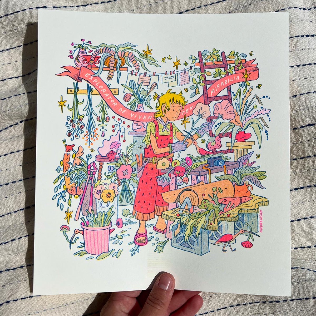 nat noodle✨🐛 tweet media