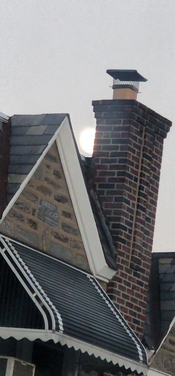 Prez215's tweet image. My #s22ultra camera zoom is amazing.  #TeamAndroid 👀