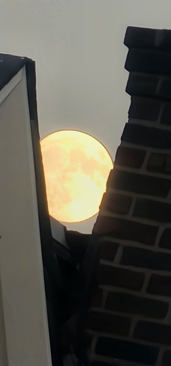 Prez215's tweet image. My #s22ultra camera zoom is amazing.  #TeamAndroid 👀