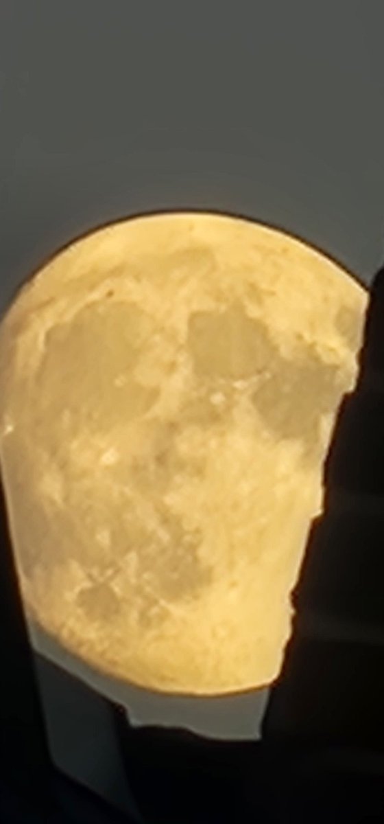 Prez215's tweet image. My #s22ultra camera zoom is amazing.  #TeamAndroid 👀