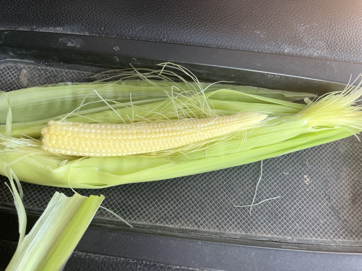 High Farm News tweet media