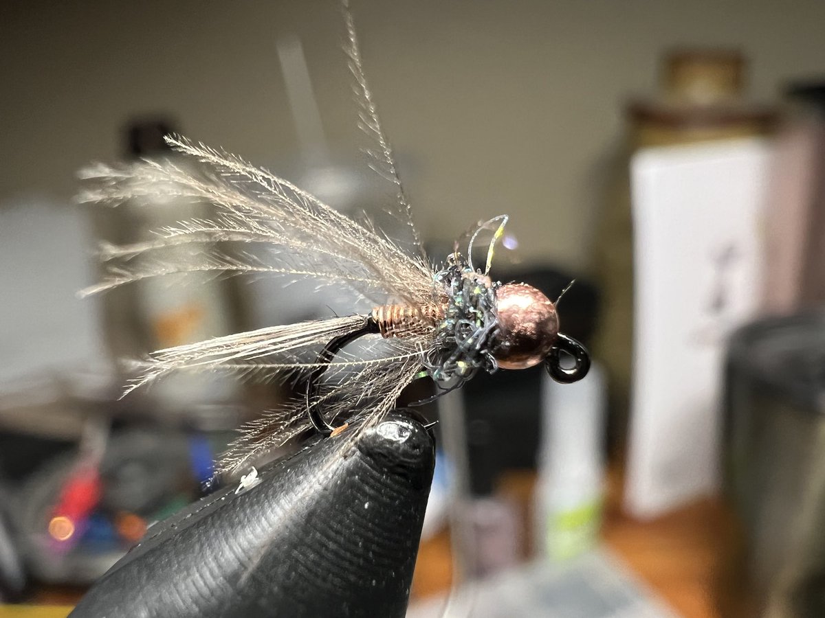 The bronze bug - I couldn’t think of a better name 🤣 #flytying #flyfishing #fishing #fish #troutfishing #troutfly #nymph #wildtrout #coloradotrout #troutbums #coloradofishing #coloradoangler #catchandrelease
