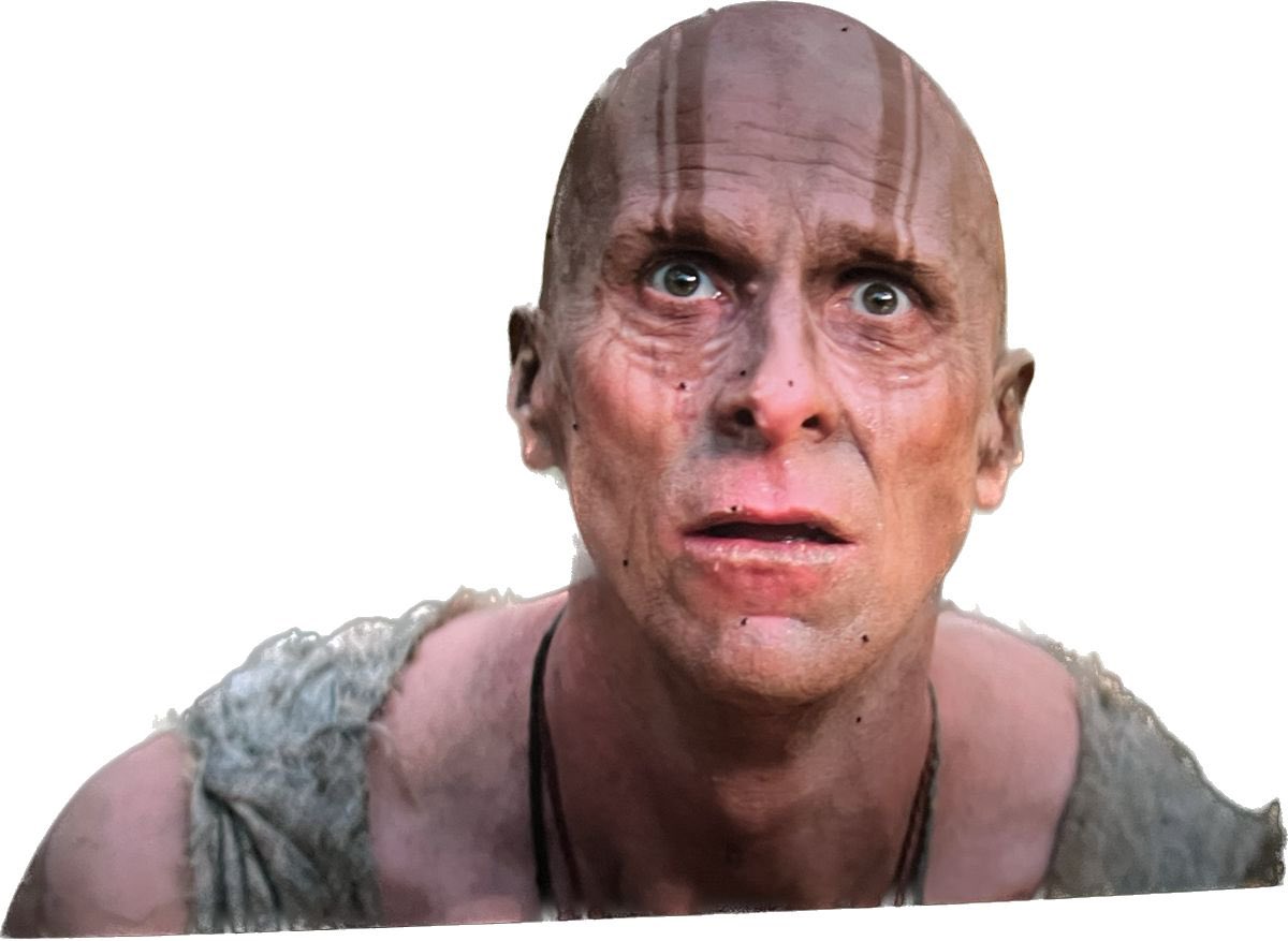 Karan Manne tweet media