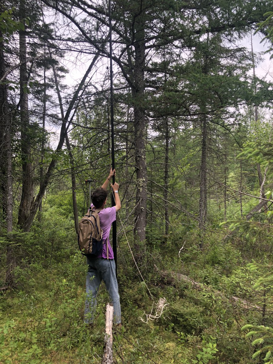 Plant Functional Ecology Lab tweet media