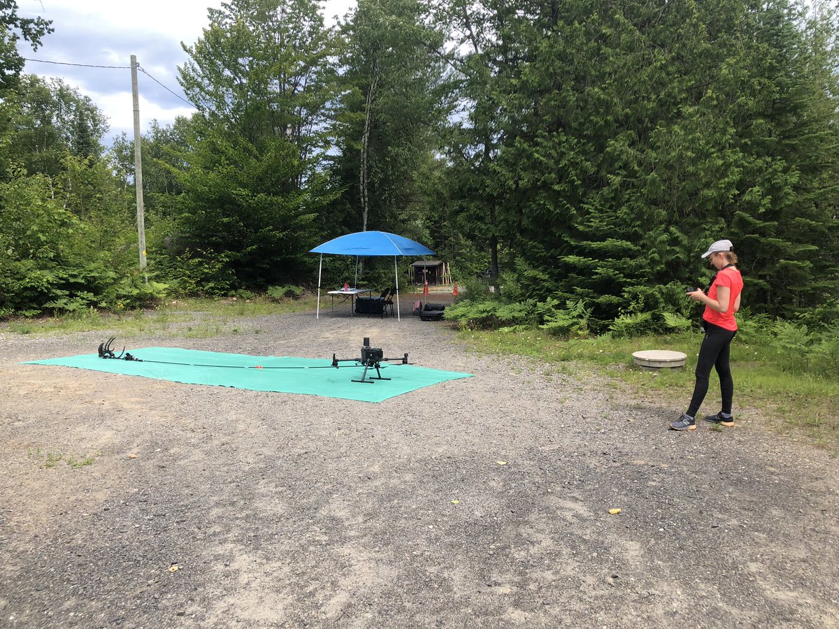 Plant Functional Ecology Lab tweet media