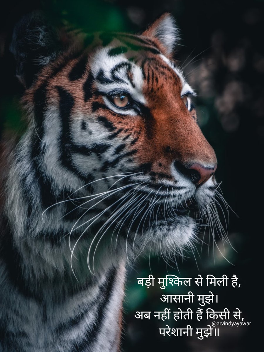 ArvindYayawar's tweet photo. बड़ी मुश्किल से मिली है, आसानी मुझे।
अब नहीं होती हैं किसी से, परेशानी मुझे॥
#यायावर #हिंदी_शब्द #बज़्म #alfazmere #अक्षरमाला #सरस #अलंकार  #काव्यांश #HPEDK #F_B_I #काव्योदय https://t.co/Nfzrkl6F1T