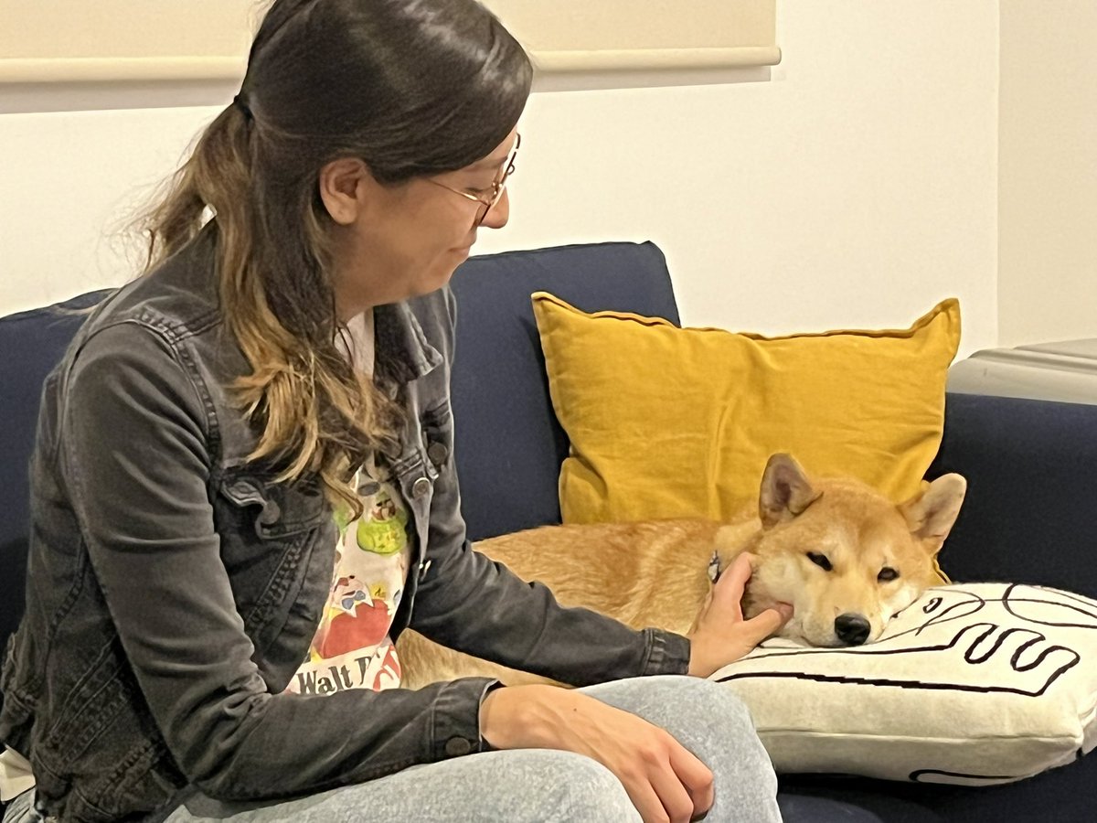 ohernandezb's tweet photo. ~Algo nos dice que está vivo y nos gustaría encontrarlo~, comparte Adriana, quien llevó a su perro “Maple” a una escuela de entrenamiento y le devolvieron una urna con cenizas. Expertos han documentado ese modus-operandi para robar sabuesos. 9pm @adn40 https://t.co/MvEMeJ9tA0