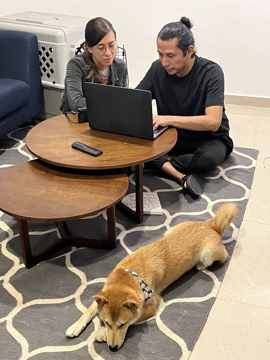 ohernandezb's tweet photo. ~Algo nos dice que está vivo y nos gustaría encontrarlo~, comparte Adriana, quien llevó a su perro “Maple” a una escuela de entrenamiento y le devolvieron una urna con cenizas. Expertos han documentado ese modus-operandi para robar sabuesos. 9pm @adn40 https://t.co/MvEMeJ9tA0