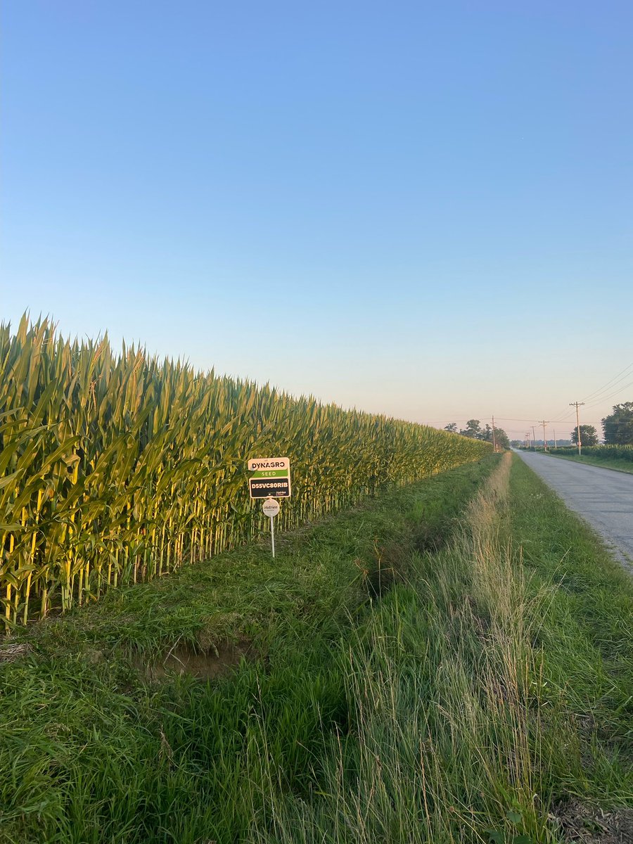 Riley Laber tweet media