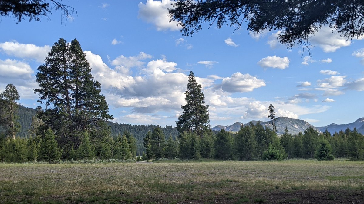 Dr. Mandy tweet media