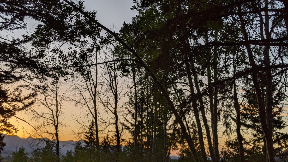 Dr. Mandy tweet media