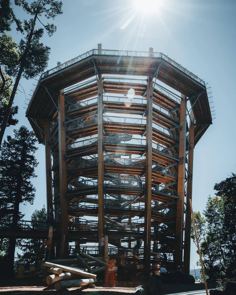 gen035's tweet photo. Malahat SkyWalk
.
.
#malahat #malahatskywalk #victoriabc #victoria #bc #vancouverisland #architecture #beehive #britishcolumbia #bctourism #victoriatourism https://t.co/HhqFo5Kri8 https://t.co/CyuvJ1YCVM