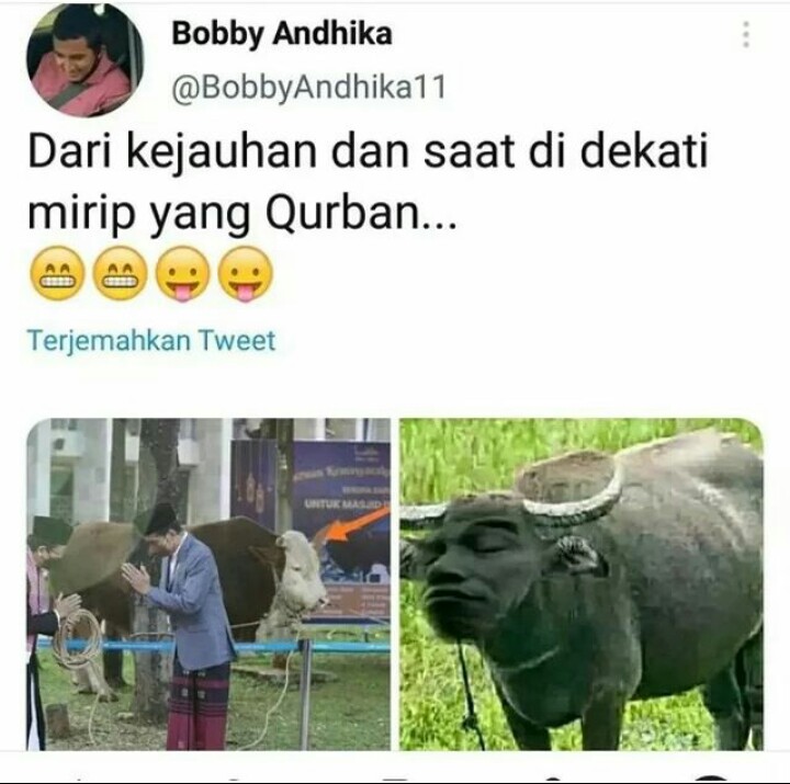 HeryIdris5's tweet photo. Apakah manusia bangsat model begini akan tetap dibiarkan aparat..?? Hinaan terhadap kepala negara sdh di luar batas. Kalo hanya cukup kata maaf, maka akan muncul ribua akun macam begini. 
Mohon perhatian @DivHumas_Polri, @CCICPolri . https://t.co/sGrNlHws3i