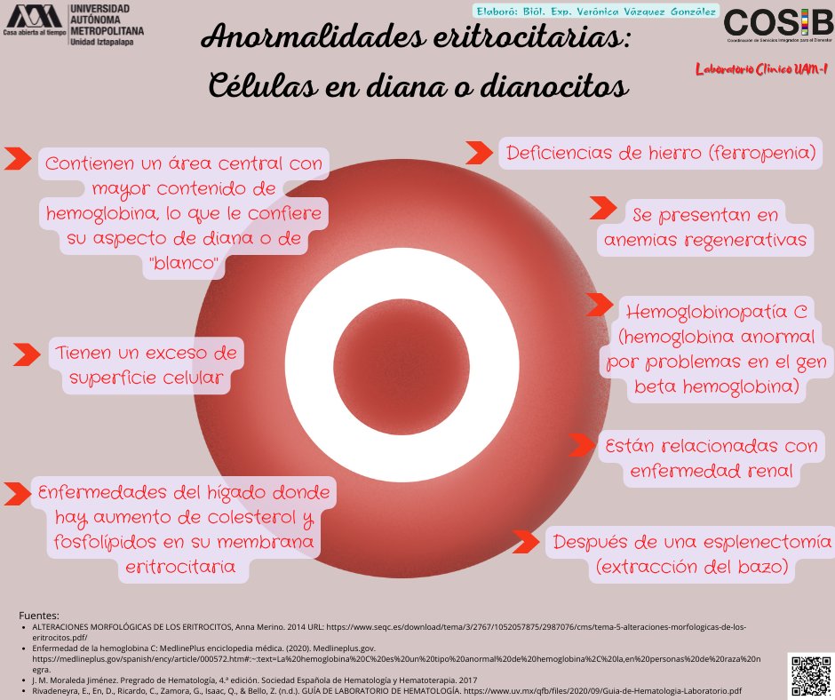 COSIB_UAMI's tweet photo. Los #Dianocitos reciben su nombre por el parecido que tienen a un blanco 🎯. Estos se llegan a presentar en ciertos tipos de anemia. 

#LaboratorioClínicoUAM🔬 https://t.co/2rDQhxu11R