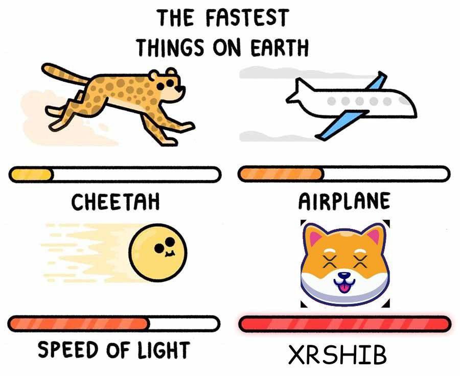 CourtneySumile's tweet photo. @altcryptocom Buying     Selling     Hodling
    ✅           ❌             ✅

🔥#xrshib🦖
The upcoming 🌟 in the crypto sky! The #Shibainu of the #XRP ledger⚒

♦️lightning fast and environmentally conscious 🌲
▶️gas fees $0.000015 🌿
▶️transaction time 3 sec. ⚡️

#XRP #XRPL #XRPCOMMUNITY https://t.co/rq4ZAtbjfS