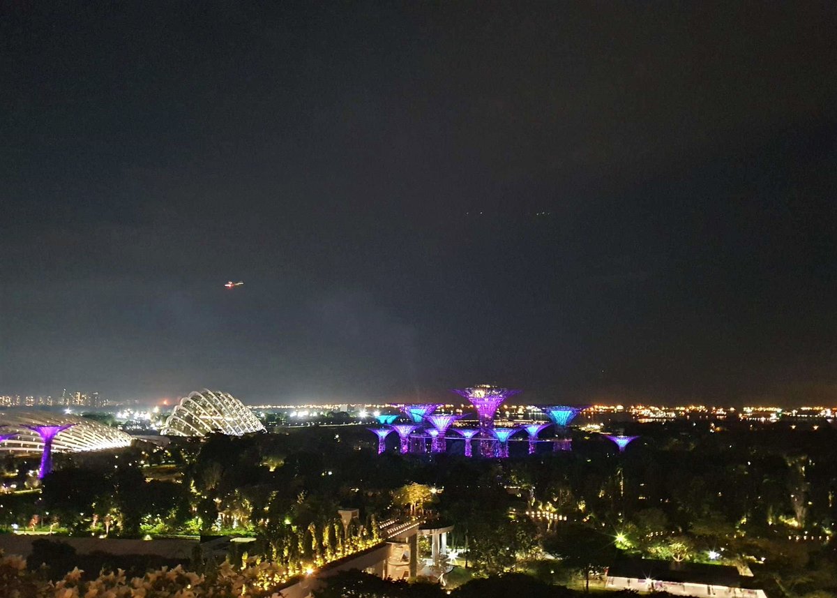 LadyCryptoo's tweet photo. View from my Hotel room 😍🥰 #MarinaBaySands #Singapore #travel https://t.co/aL45Gl2t83