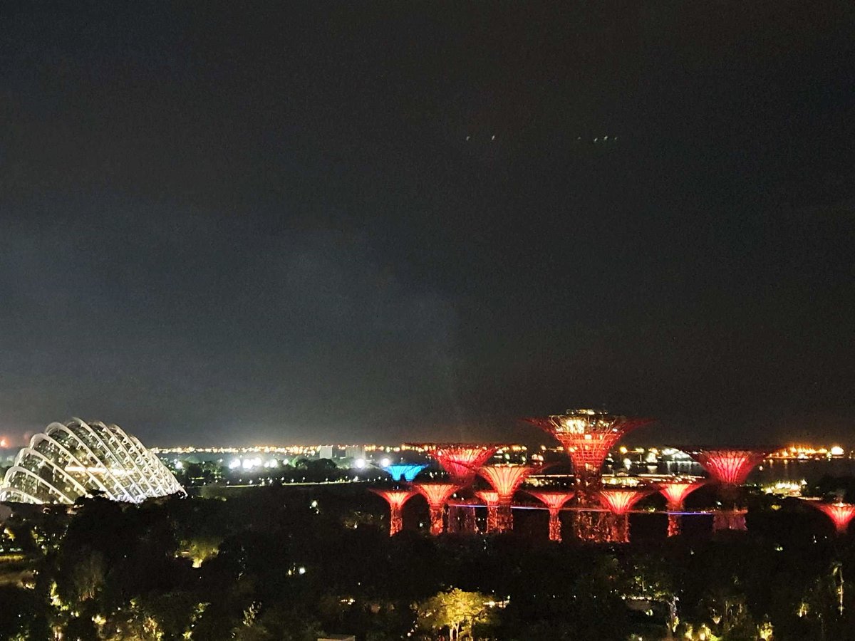 LadyCryptoo's tweet photo. View from my Hotel room 😍🥰 #MarinaBaySands #Singapore #travel https://t.co/aL45Gl2t83