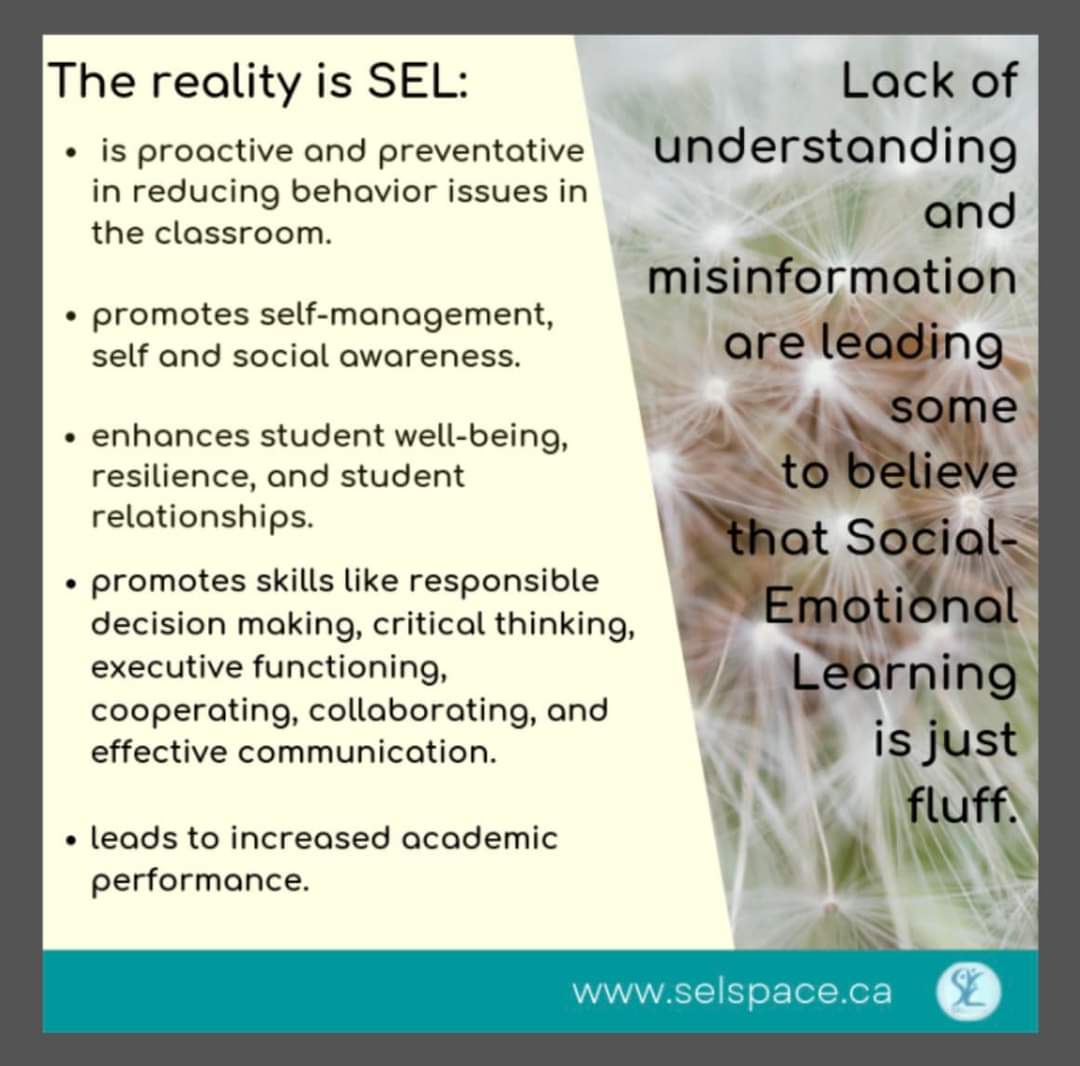 JaneSturgell's tweet photo. The reality of #SEL #FraserLearning #schoolpsych https://t.co/qeHvDJdMBy