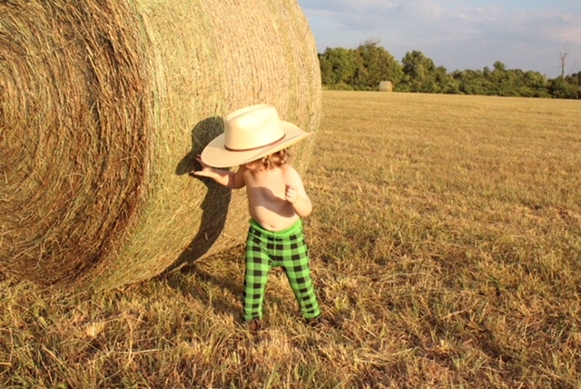 Green Tractor Leggings

#doodlelove #thedoodlepants #doodlepants #cottonleggings #matchingsets #hoodieseason #kidhoodies #matchingtee #twinning #cutekidclothes #comfykidclothes #babyleggings #kidleggings #ootd #whenisyellowstonecomingback #greentractor