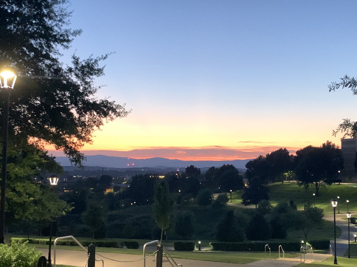 Amy Wheeler tweet media