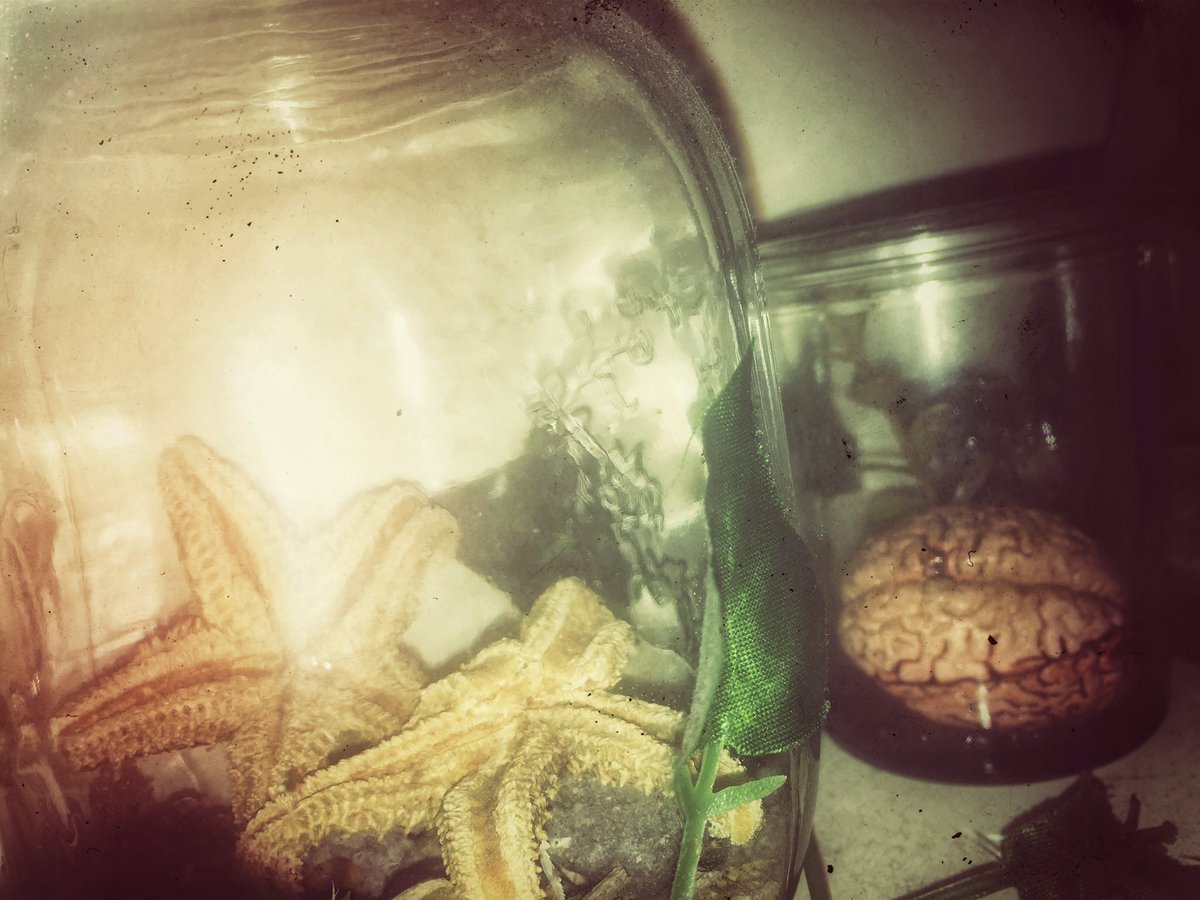 Gutterflower tweet media