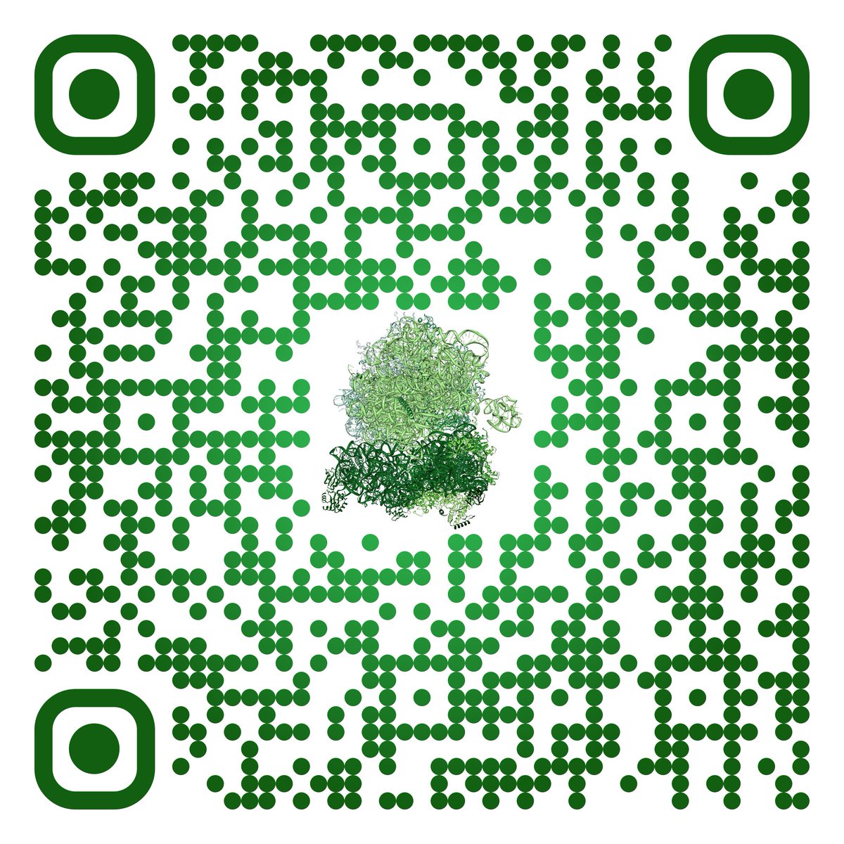 BrunkardLab's tweet photo. We are excited to be working with @tair_news, @MaizeGDB, @jnbserres, @Xuemei_RNAlab, @ThePlantCell, and others to update the nomenclature of ribosomal proteins in plants. We want to hear from you! Please read our letter (link below) and submit feedback to plantribosome@gmail.com. https://t.co/f6QVxPi39F
