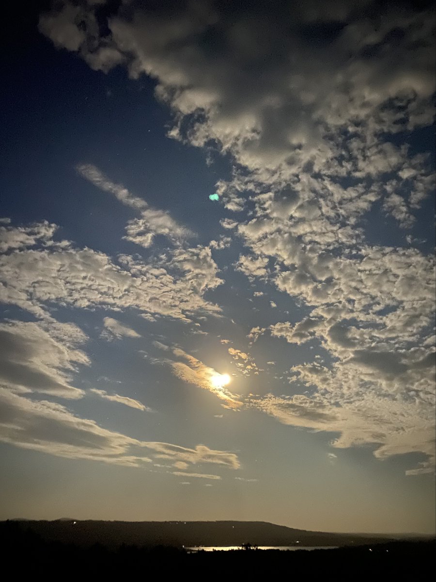 Lanterna tweet media