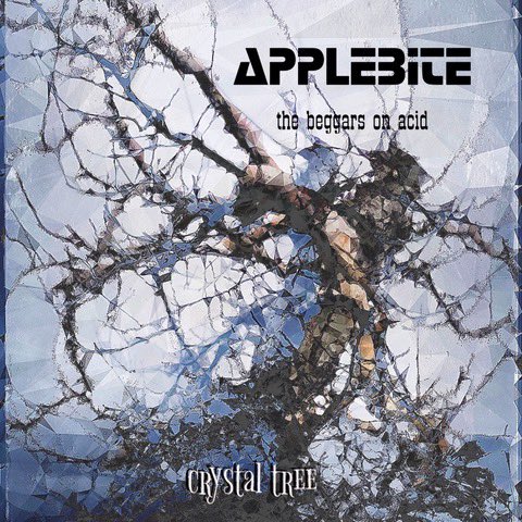 Applebitebeggar's tweet photo. Some cover ideas for the new song Crystal Tree #newsong #artwork #biteyah #applebite #grunge #punk https://t.co/gkUI4zUI1I