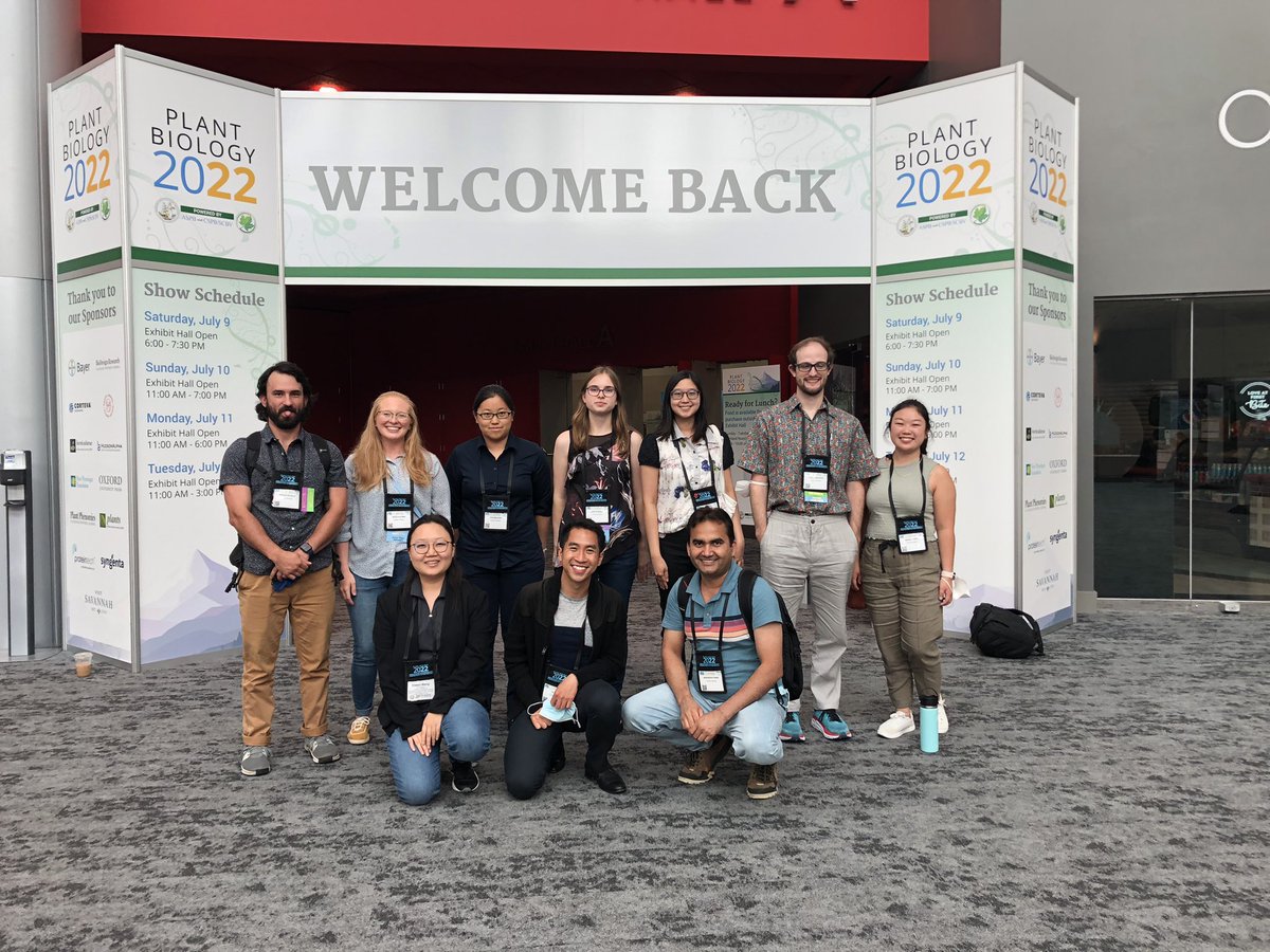 Diwen Wang tweet media