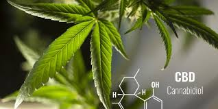 eumir10's tweet photo. El #CBD o #Cannabidiol es uno de los cientos de cannabinoides y uno de los más abundantes en la planta del #Cannabis. https://t.co/hVSkaXueTn