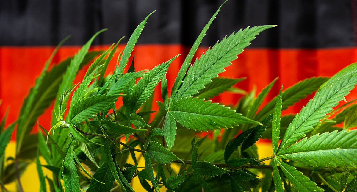 TheMarketBullAU's tweet photo. 🇦🇺$LGP Little Green Pharma extend its German roots and strike ~$2M supply deal with Ilios Santé 🥨🌿

@LittleGreenPHAR @fleta_solomon @chapter1advisor 

#ASX #Health #AlternativeMedicine https://t.co/kfjSq3stUm