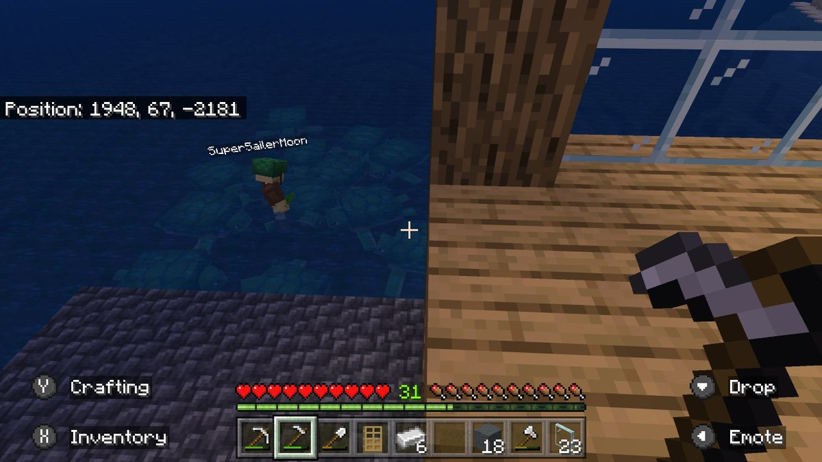 LordTeral's tweet photo. @kaiyacerise #Minecraft #NintendoSwitch https://t.co/mbIhNa1vBr