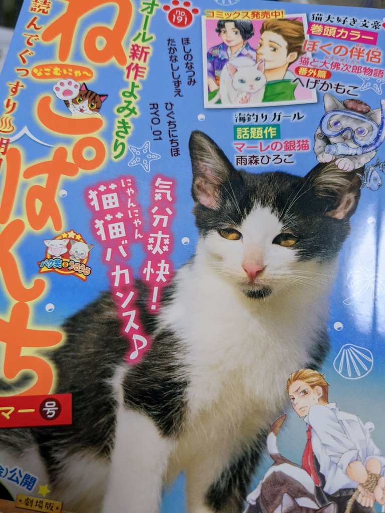 先日発売された、ねこぱんちお猫サマー号で「猫が飼いたくて仕方ない人」番外編最終話掲載されてます!

番外編も最後の最後までお手伝いさせて頂きました😊

楽しく面白く少し切ないお話でした✨
おしどりさや先生、番外編もお疲れ様&完結おめでとうございます!
#ねこぱんち
#猫が飼いたくて仕方ない人 