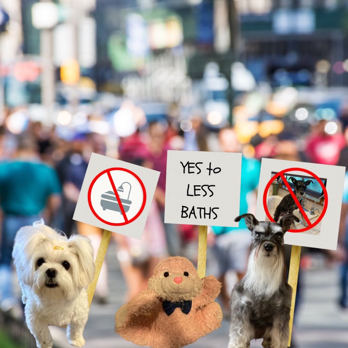 AudreyGeorgia2's tweet photo. #PODT #ELF Vote NO #baffs https://t.co/WJmk3Uvg6R