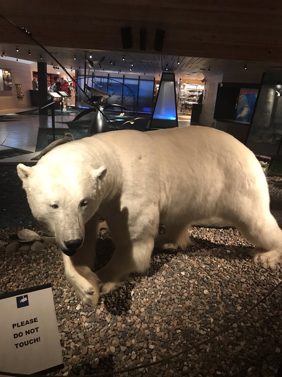 theexploringeye's tweet photo. Svalbard. An arctic wonderland where there are more snowmobiles and polar bears than human, where sun doesn’t come up for 6 months

We have covered every details you need to plan a trip to Svalbard from India.

Read here 
https://t.co/J9hhaRigrb

#svalbard #TravelGuide https://t.co/YZZAtXrI9O
