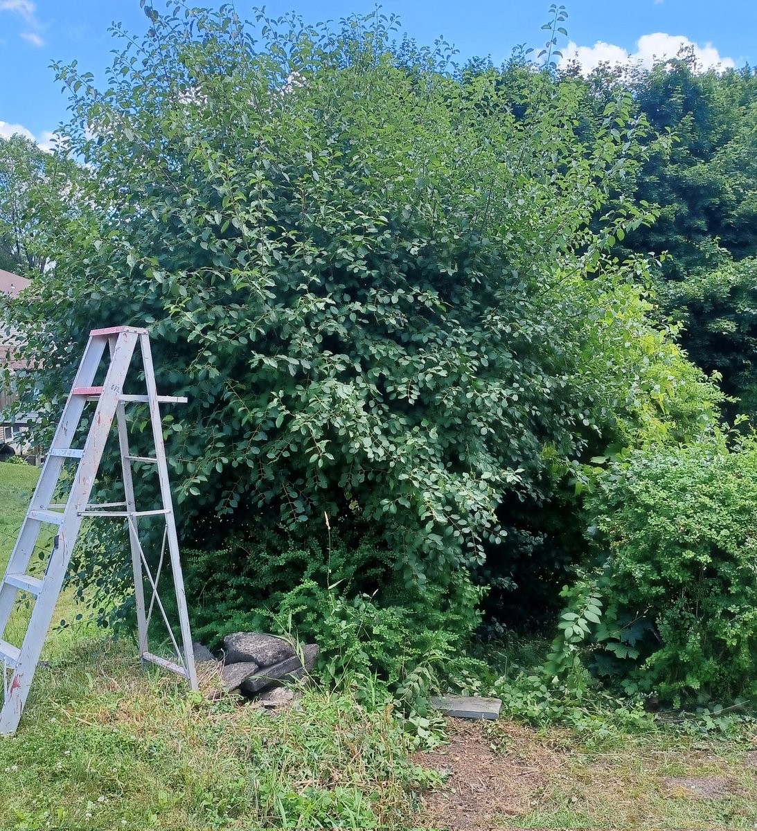 Marlund Chottiner tweet media