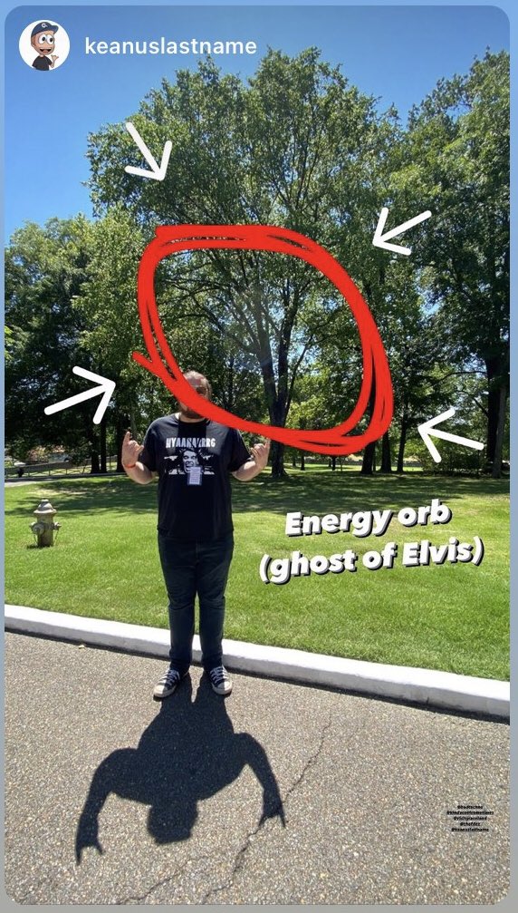 badtechno's tweet photo. Breaking news! The trees outside #graceland are haunted by the ghost of Elvis Presley. 100% #confirmed More to come… #ElvisPresTree #Truther #IWantToBelieve https://t.co/MjMi6Y0veO https://t.co/lHWBeRkkxg