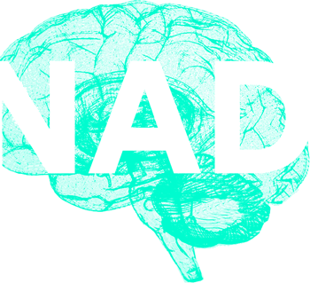 neuroscienceaau's tweet photo. Sixteen PhD fellowships in neuroscience are available to younger scientists holding degrees in a range of neuro-related disciplines, including biology, chemistry, medicine, pharmacology, genetics, and psychiatry. Just to mention a few. https://t.co/HkPqh7Bihp https://t.co/VrOPdM5r5m
