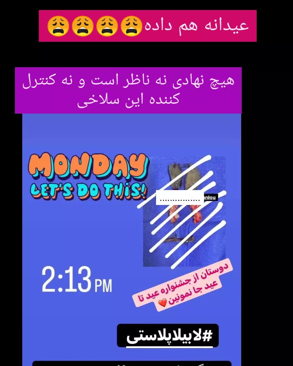 Rayehe Makaremi Mozafarian tweet media