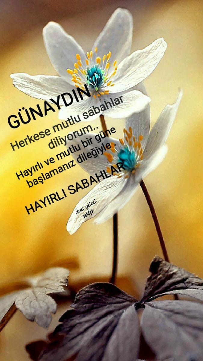 Herşeyin gönlünüzce olduğu birgün geçirmeniz dileğiyle ☕☕