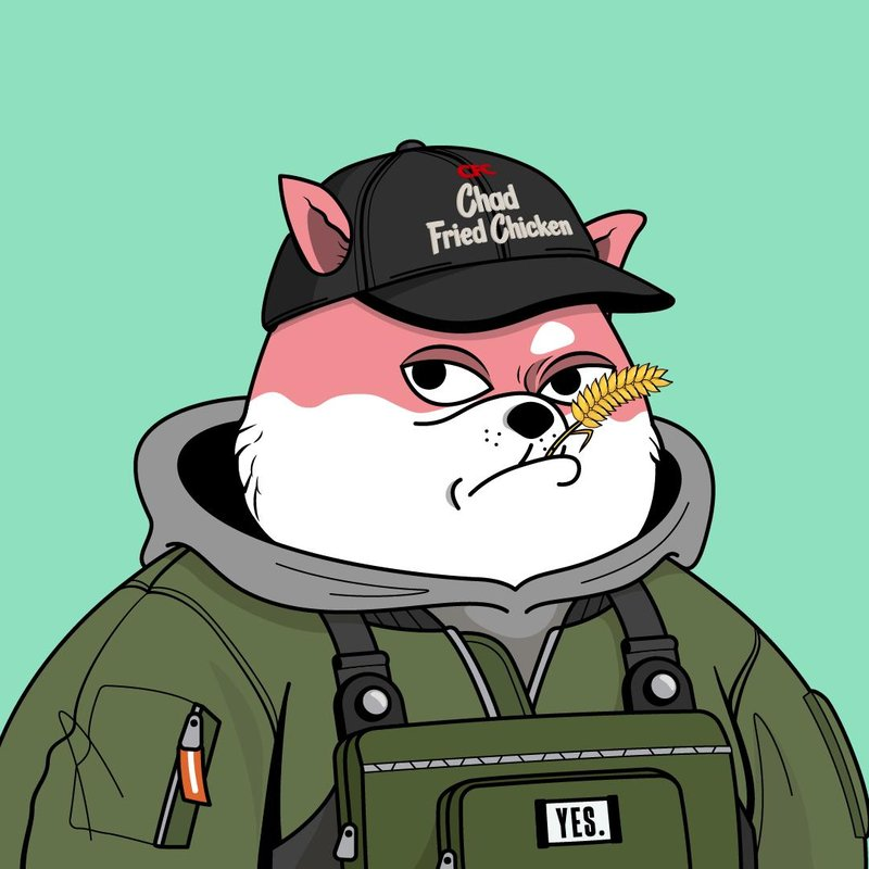 MusicNFTsDegen's tweet photo. Just bought this new @avaxchaddoge 

About to moon soon

LFG
#avaxchaddoge #chad #doge #Avax #AvaxNFTs https://t.co/jgLO7WHVpi