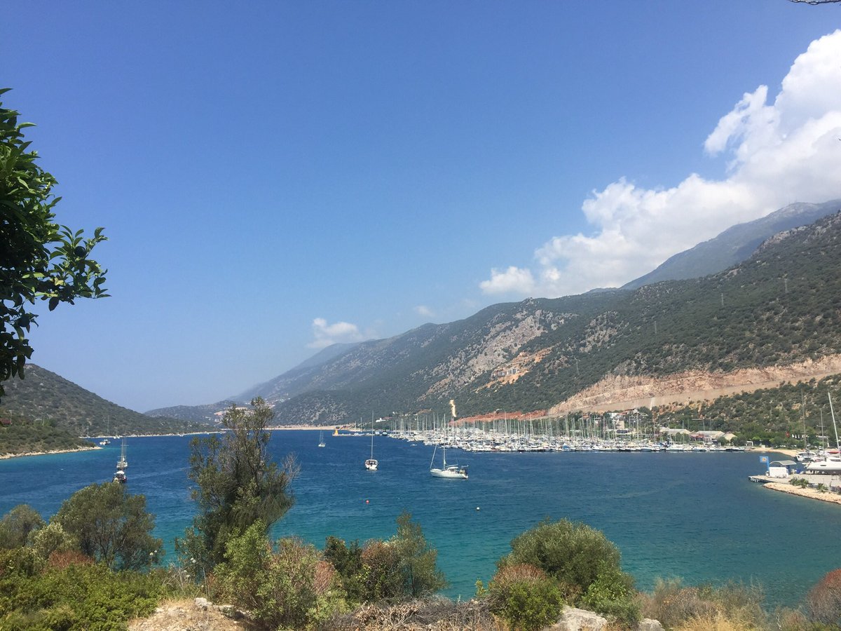 Gm friends☀️
Have a great day🤘🏻