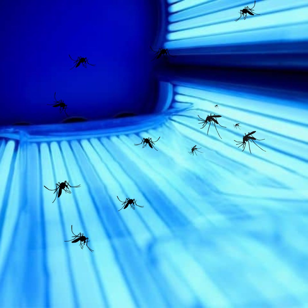 MumsDelivery's tweet image. Wondering how much a bug zapper hurt? 

It might hurt, it might even burn you, but it definitely can’t kill you. 😉

#bugzapper #zapbugs #zapinsects #infoarticle #bugzapperlantern 

mumsdelivery.com.au/how-much-does-…